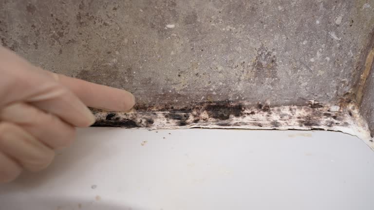 Best Residential Mold Inspection & Testing  in Timberwood Park, TX